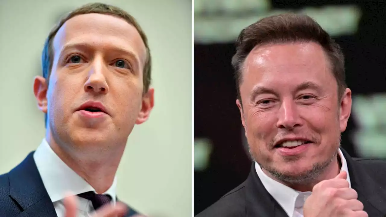 Elon Musk vil livestreame slåskamp med Mark Zuckerberg