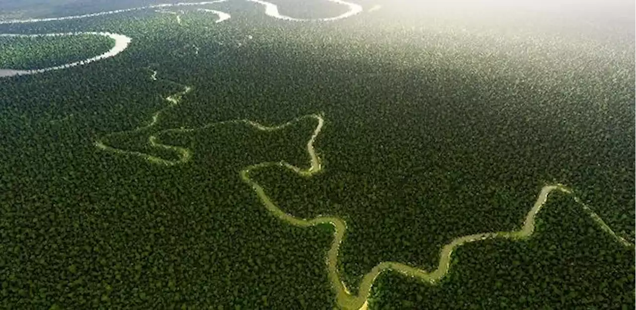 Jamil Chade: Brasil e países tropicais se unem para confrontar agenda climática de ricos