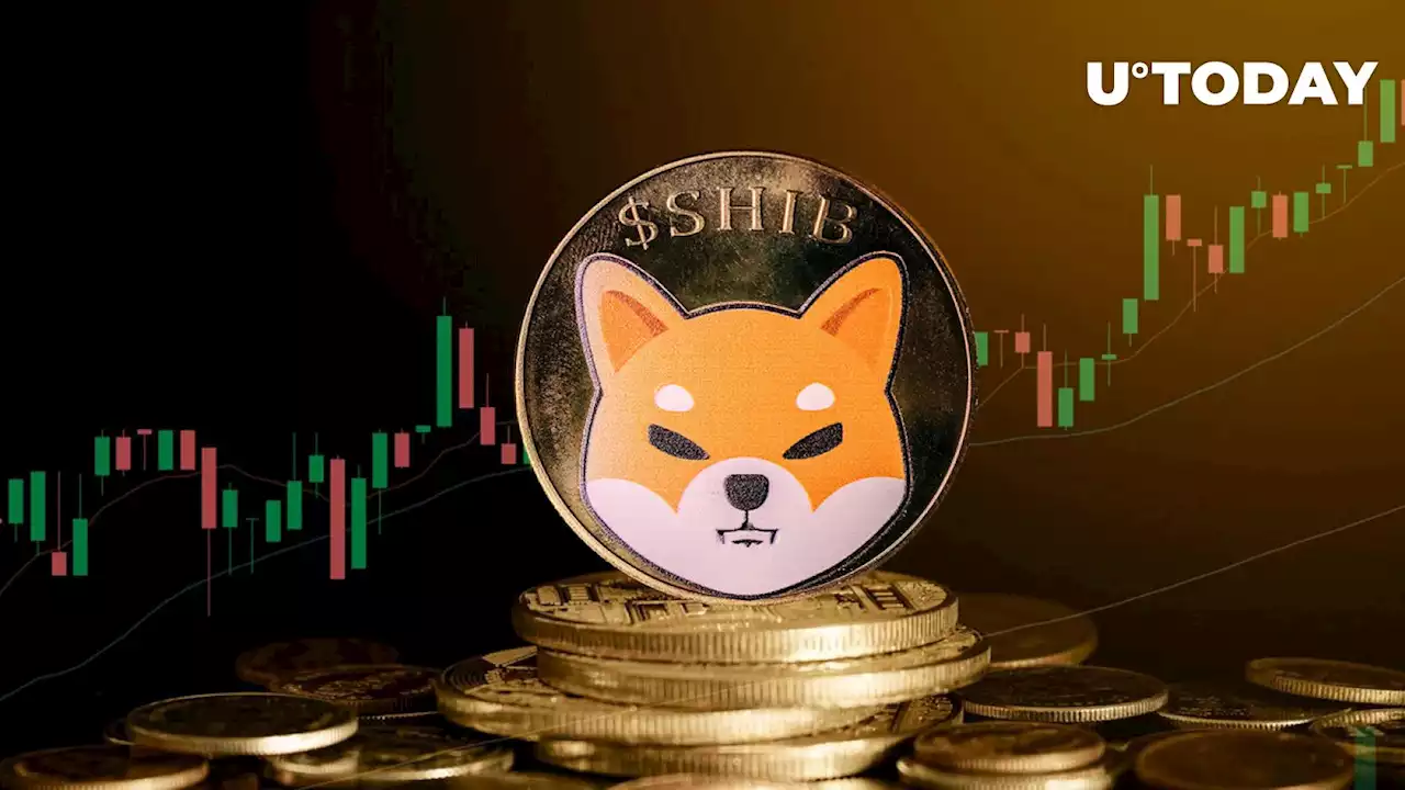 Shiba Inu (SHIB) Inflows See Jaw-dropping 2,200% Spike, Here's Why