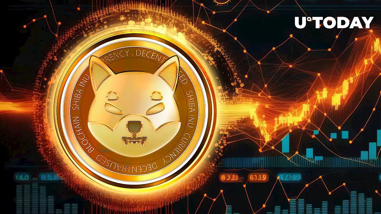 Shiba Inu Trillionaires Acquire 11 Trillion SHIB in Just 2 Days as Shibarium Nears