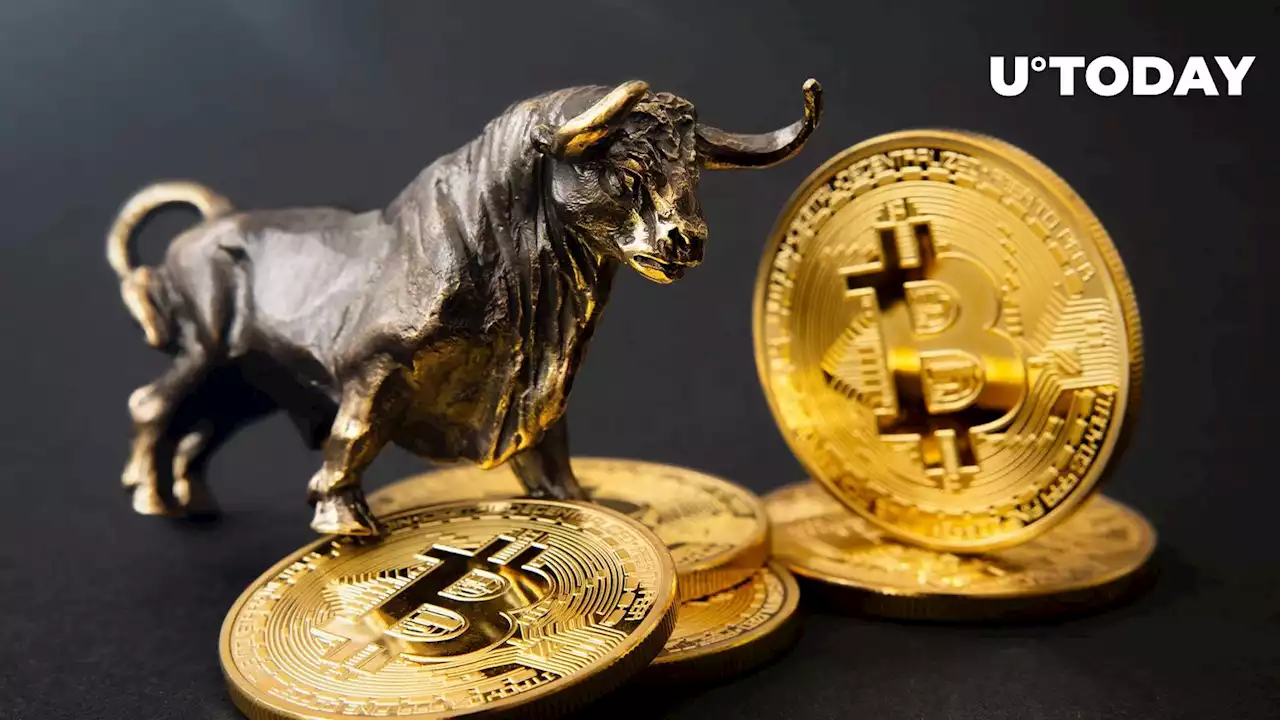 Top Bitcoin Analyst Calls 'Buy the Dip' Amid Bullish Signal