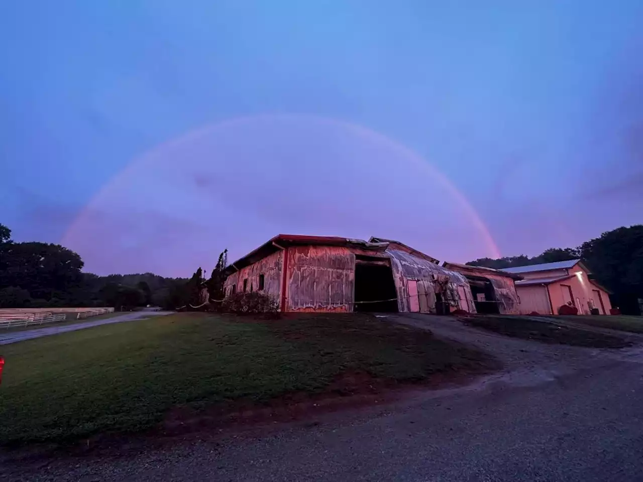 26 Horses Killed in Georgia Barn Fire