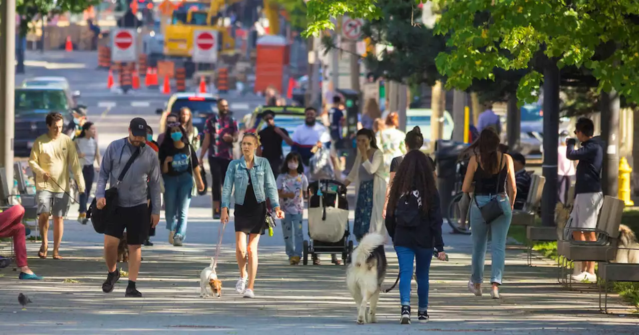 Toronto is getting a new dessert shop exclusively for pets