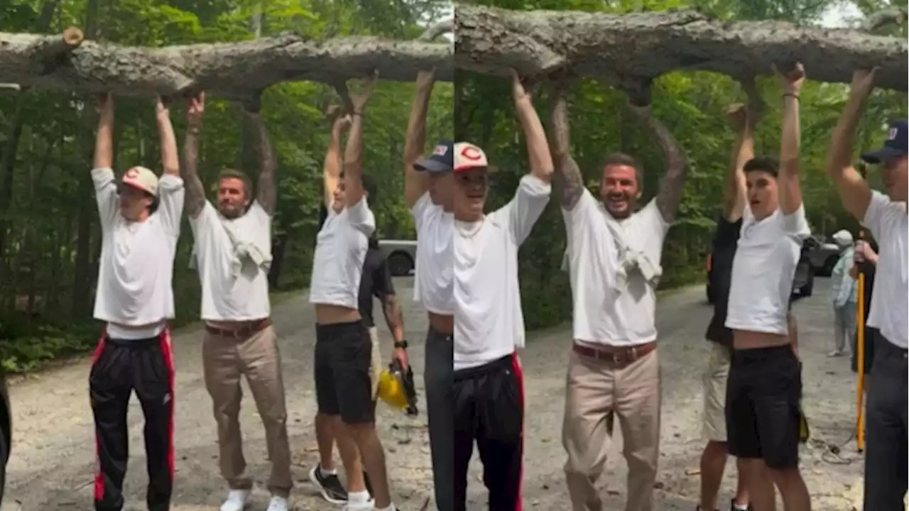 Austin Butler, David Beckham spotted lifting tree blocking roadway in Ontario's cottage country