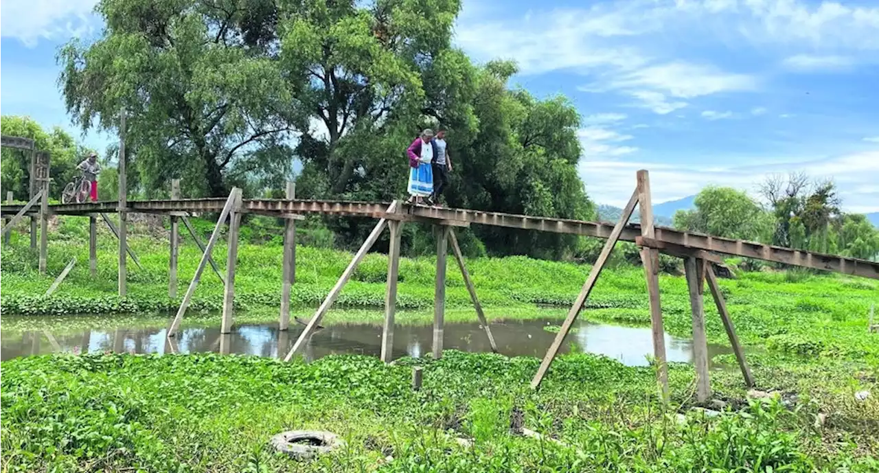 Lago de Pátzcuaro, en lenta agonía | El Universal