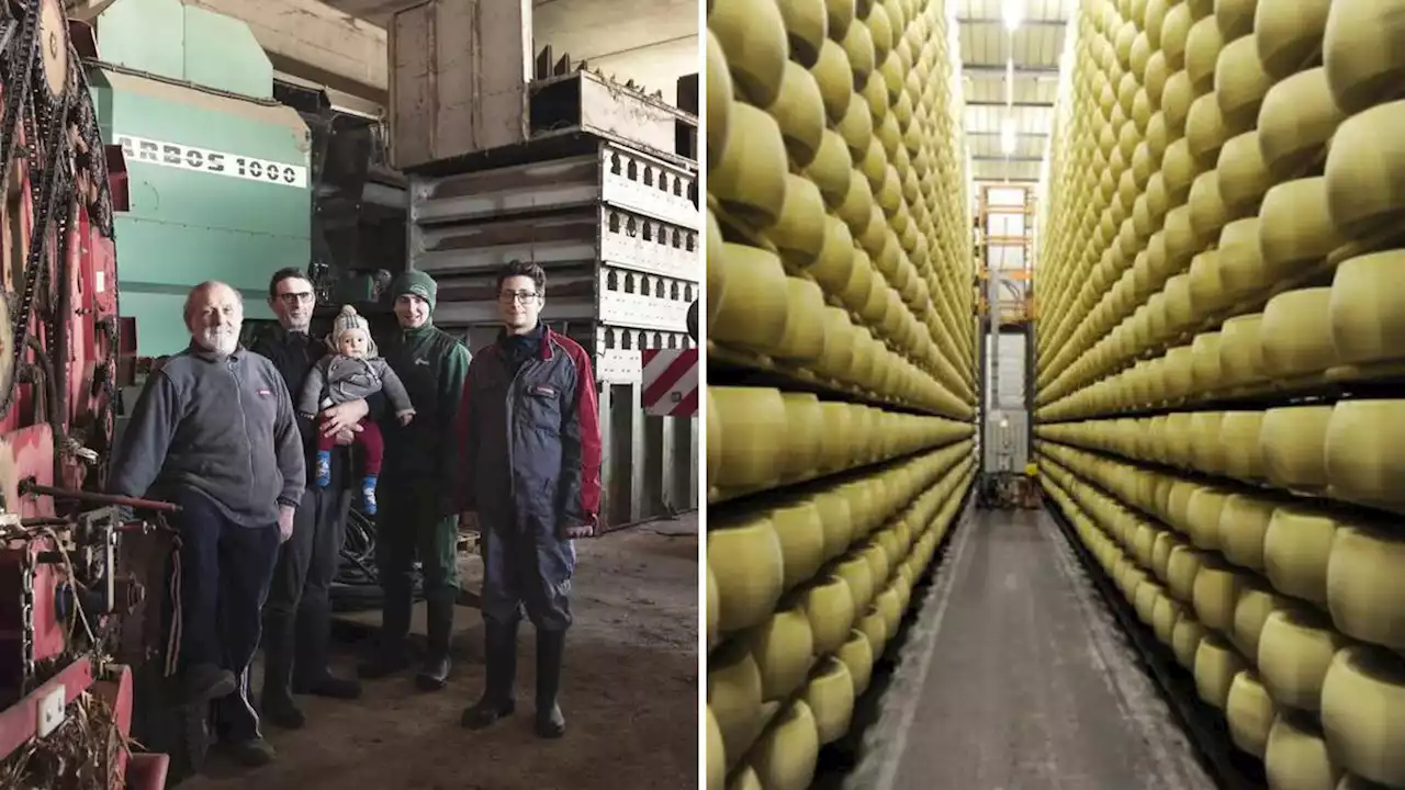 Grandad crushed to death by thousands of wheels of cheese as rescuers take 12 hours to find him