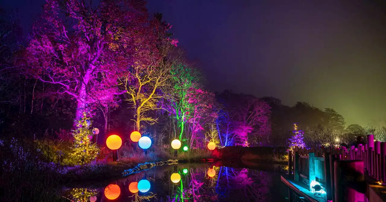 BeWILDerwood's Christmas trail up for an award as tickets go on sale for 2023