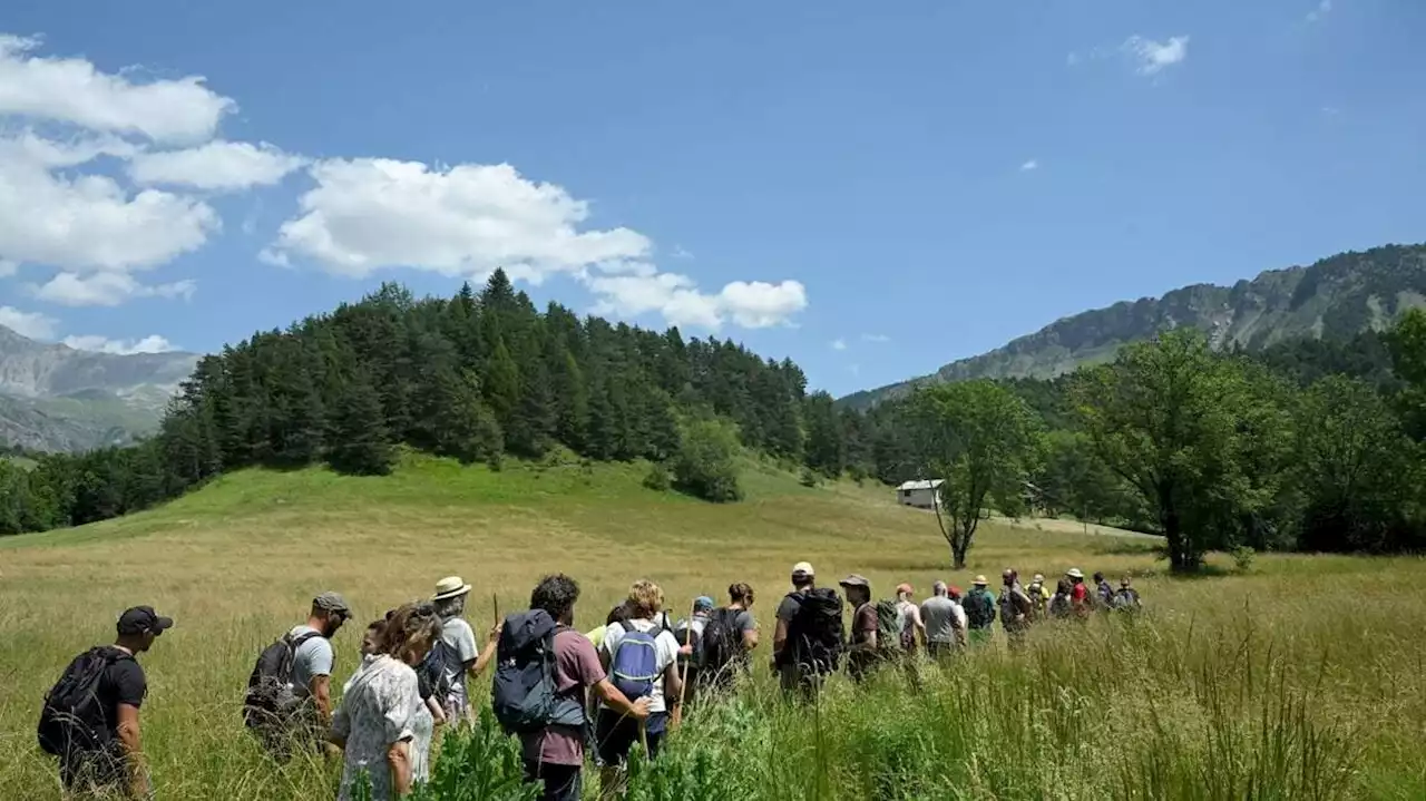 Disparition d’Émile au Vernet : le maire du village soupçonne une personne « machiavélique »