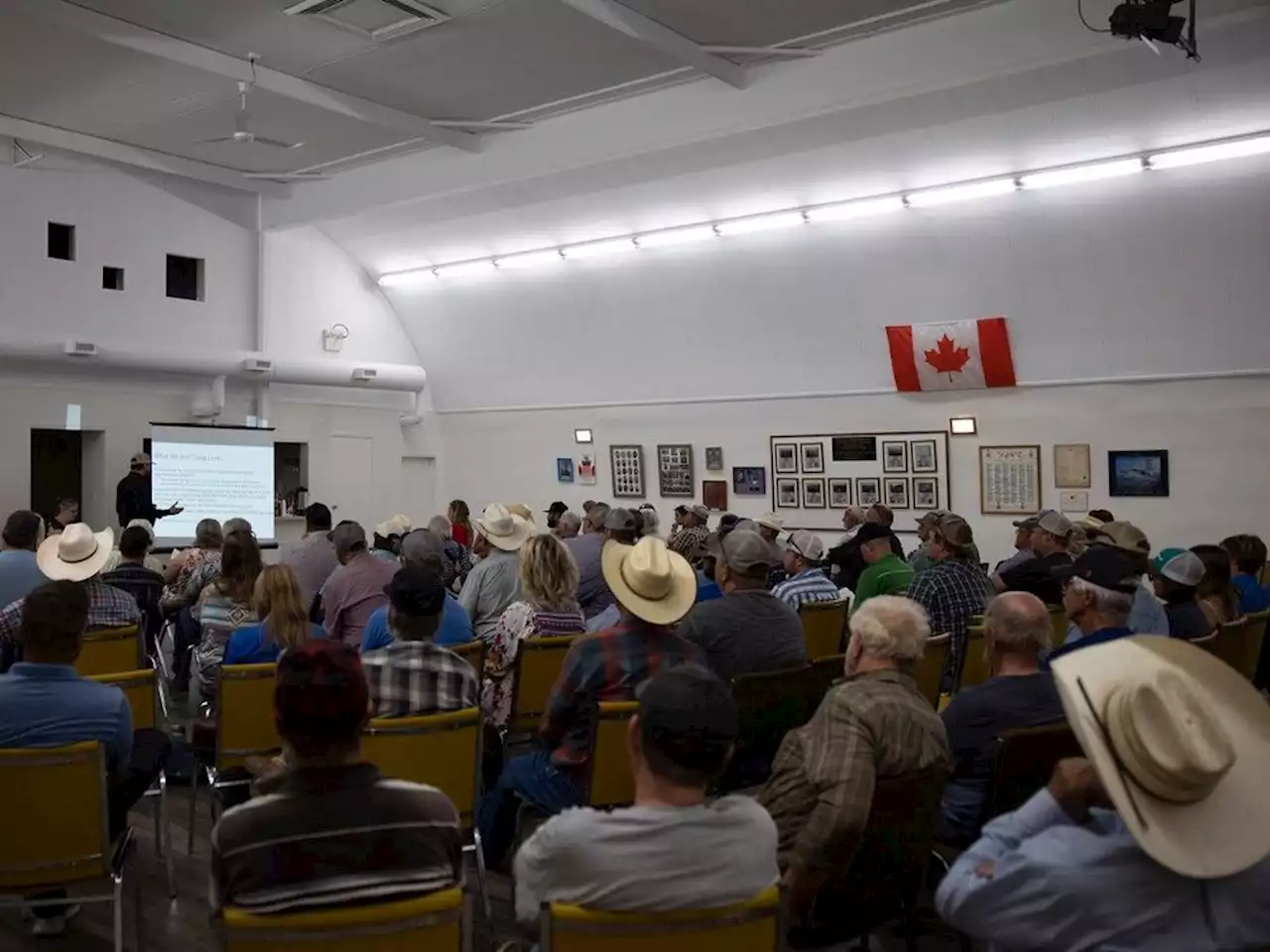 High and dry: Enduring drought conditions putting Sask. producers on edge