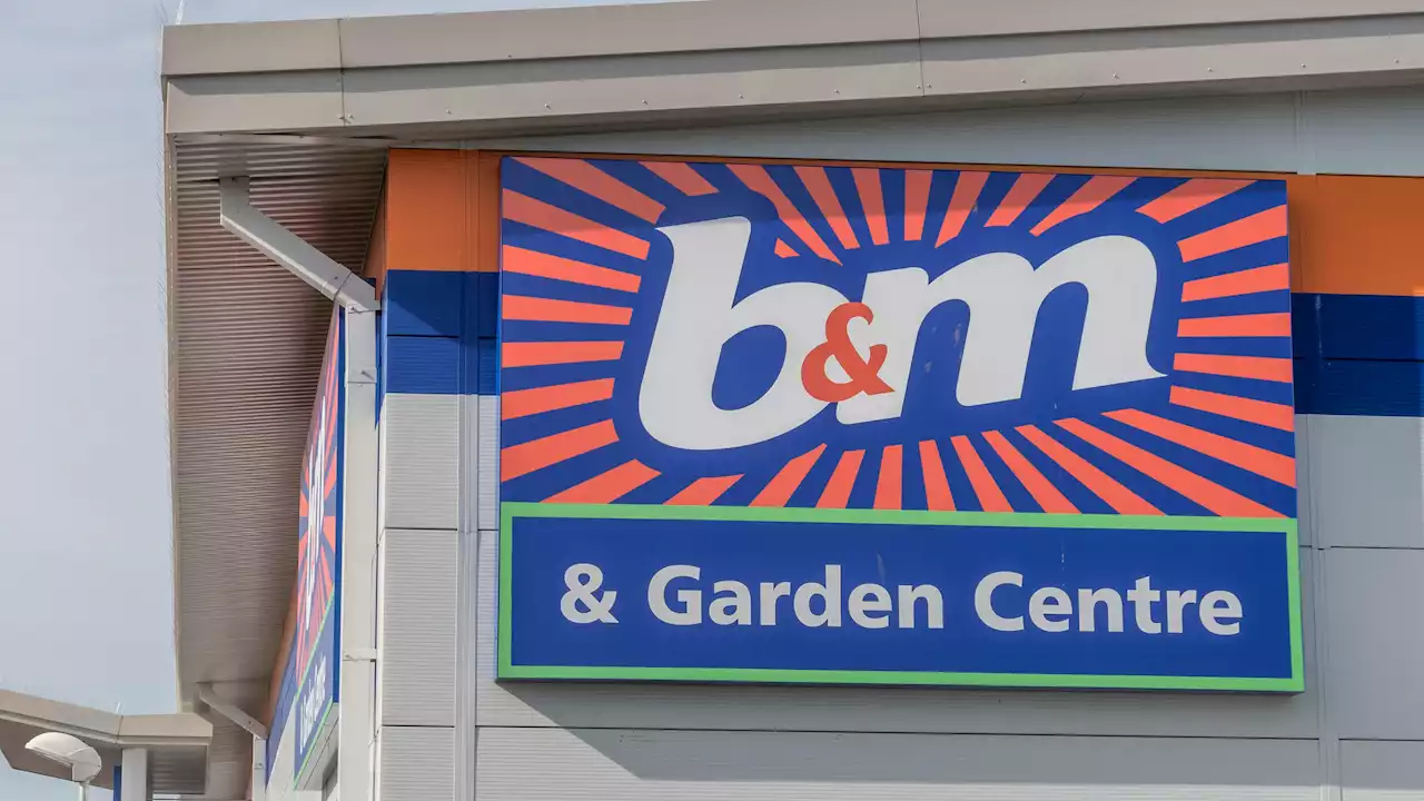 Mums race to B&M to nab a £18 kids' toy that's scanning for £1 at the till