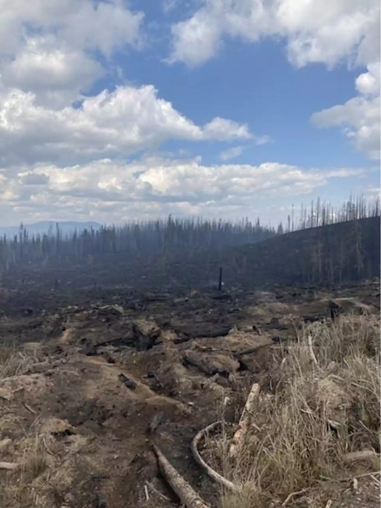 Rain, cooler weather could bring relief to B.C. wildfire crews as new fires start