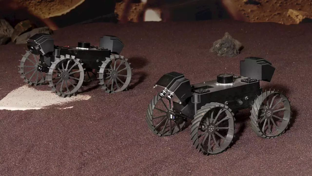 NASA Plans to Unleash a Wolf Pack of Rovers Onto the Lunar Surface in 2024