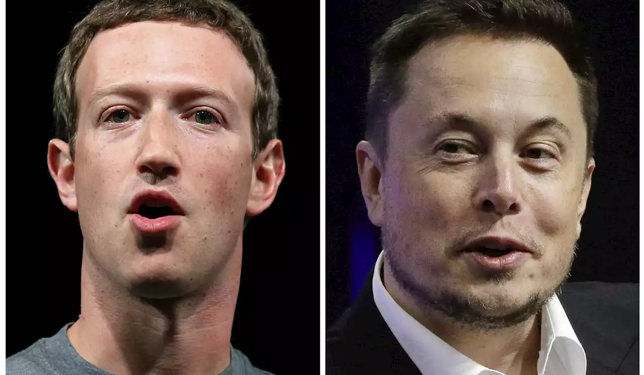 Elon Musk may need surgery before proposed 'cage match' with Mark Zuckerberg