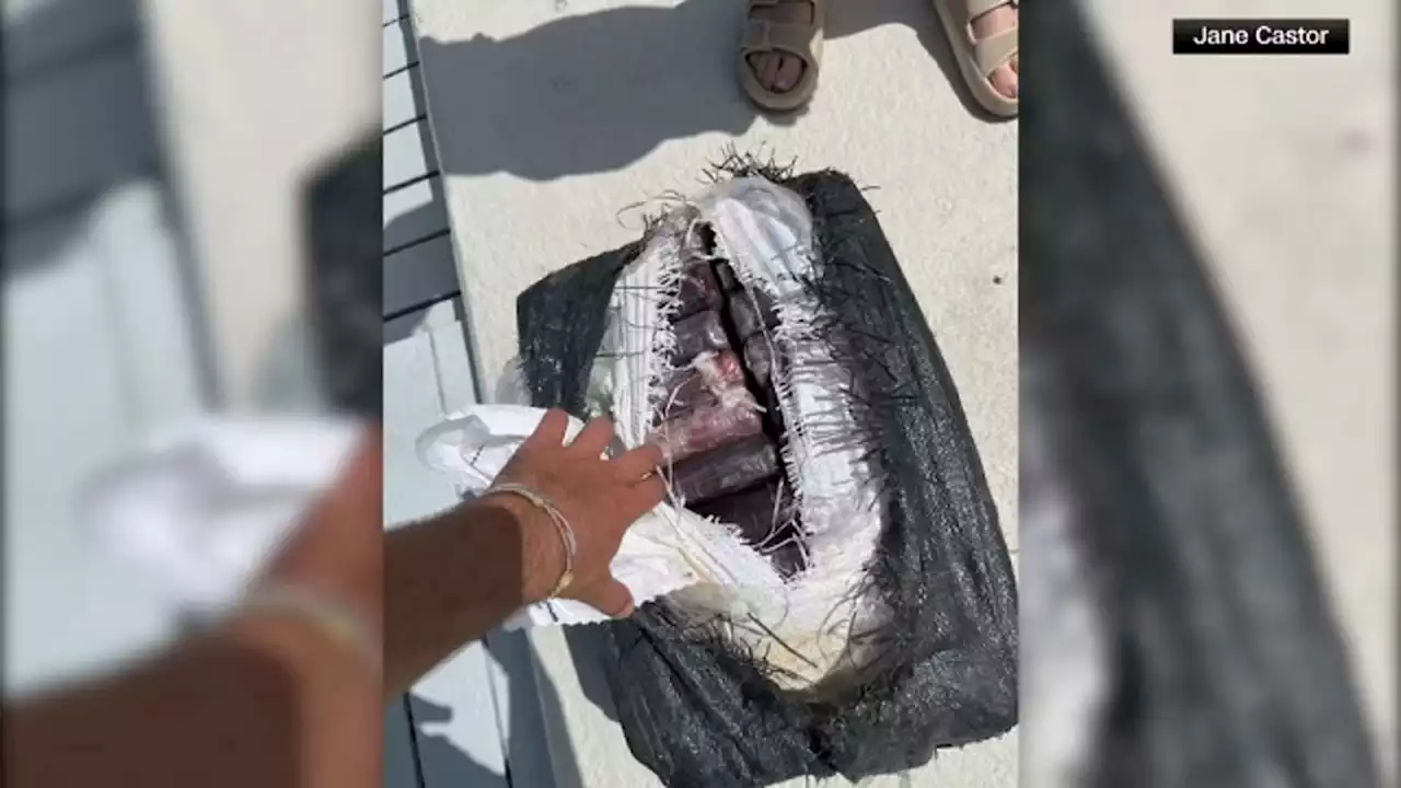 Mayor Discovers 70 Pounds of Cocaine During Fishing Trip in Florida Keys