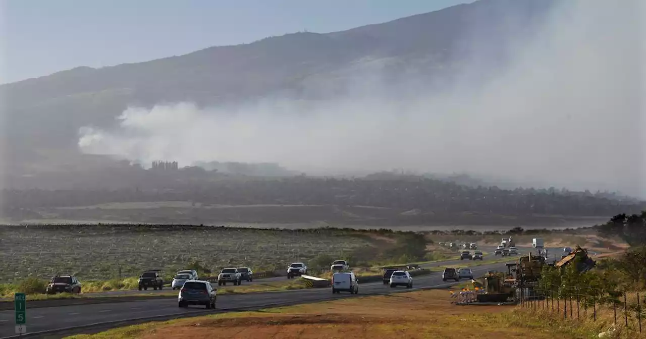 People flee into ocean to escape wildfire in historic Maui town