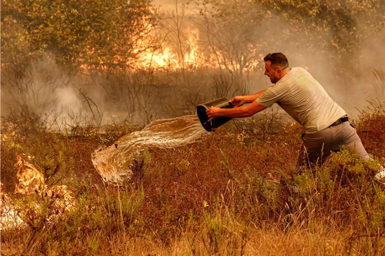 Domato incendio a Odemira in Portogallo, ma rischio nuovi roghi - Europa - Ansa.it