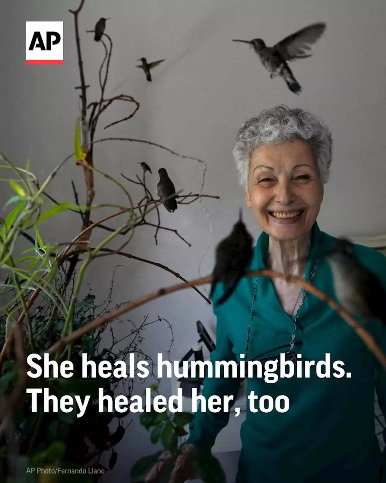 Woman in Mexico City transforms apartment into hummingbird clinic