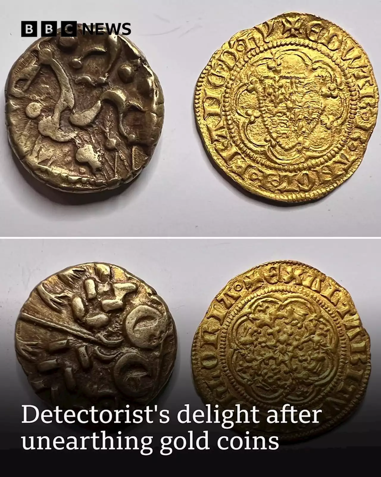 Detectorist's delight after unearthing gold coins