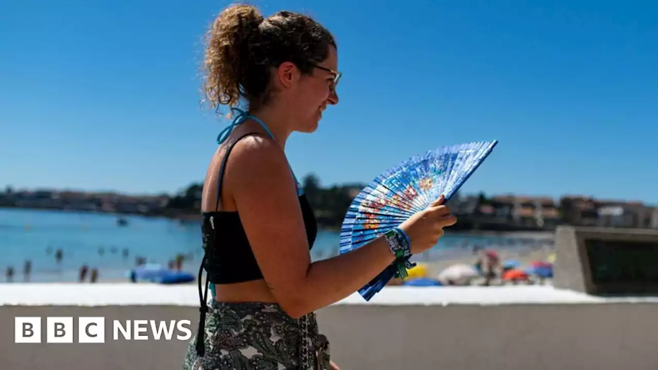 TUI: Heatwaves likely to affect where and when we holiday