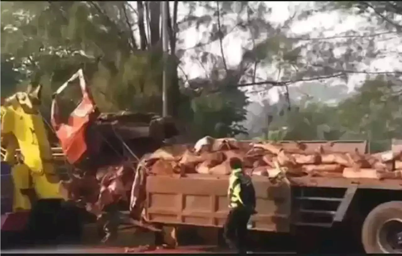 Diduga Rem Blong, Kecelakaan Truk di Tol Cipularang Tewaskan Sopir