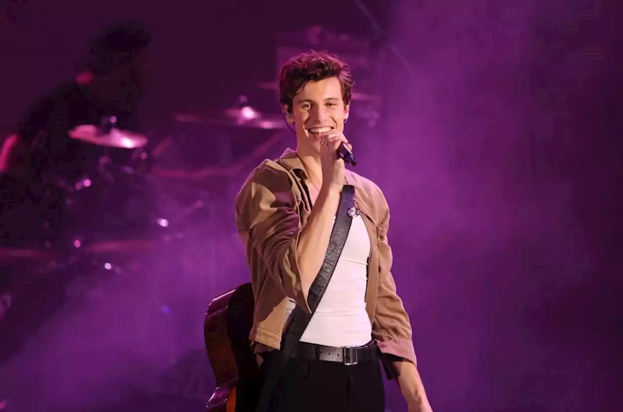 What’s Your Favorite Shawn Mendes Hot 100 Top 10 Hit? Vote!