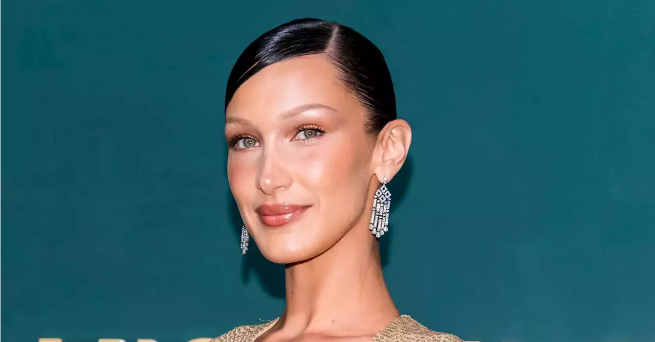 Bella Hadid Shares a 'GoFundMe' Page