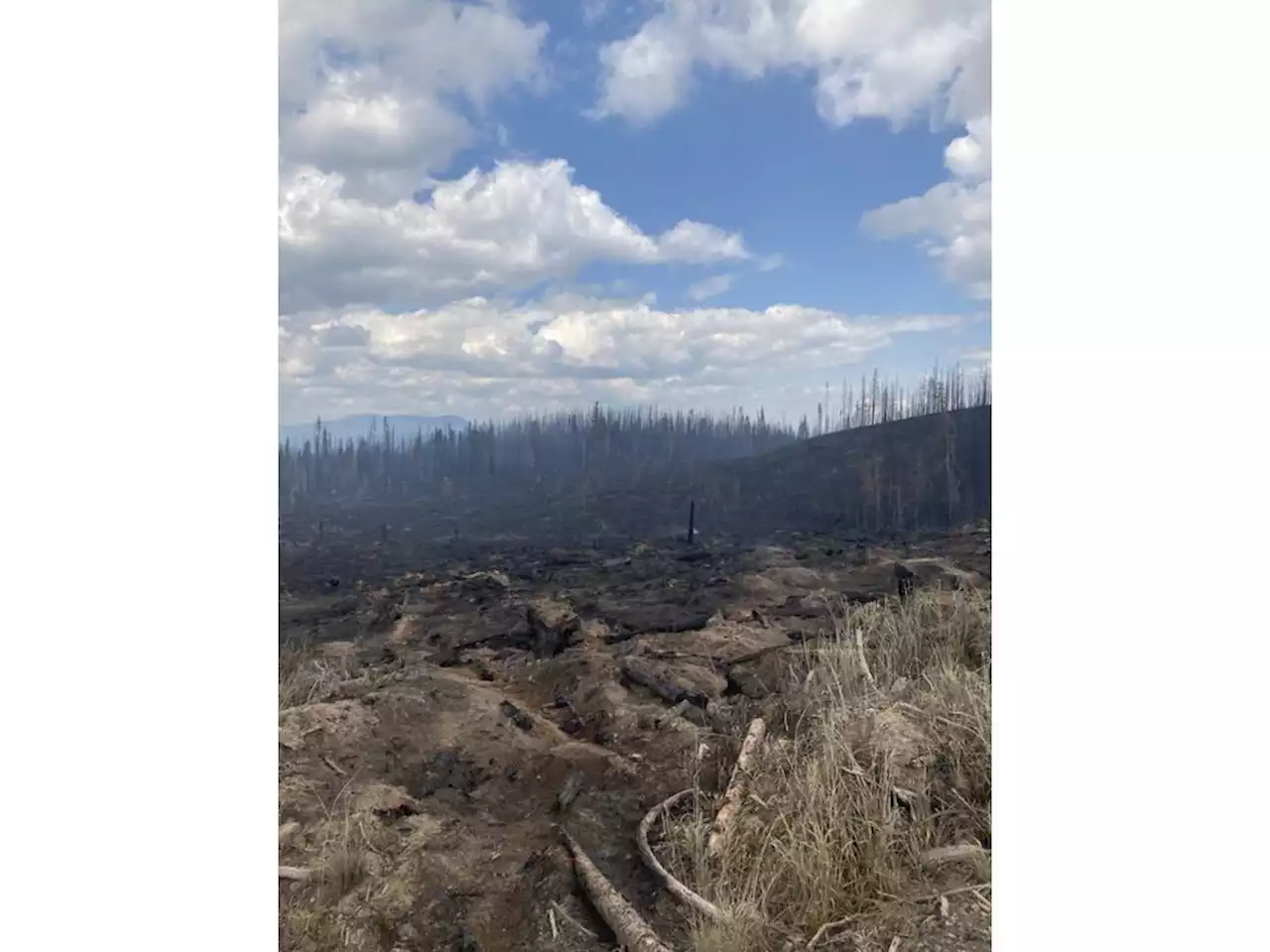 Rain, cooler weather could bring relief to B.C. wildfire crews as new fires start