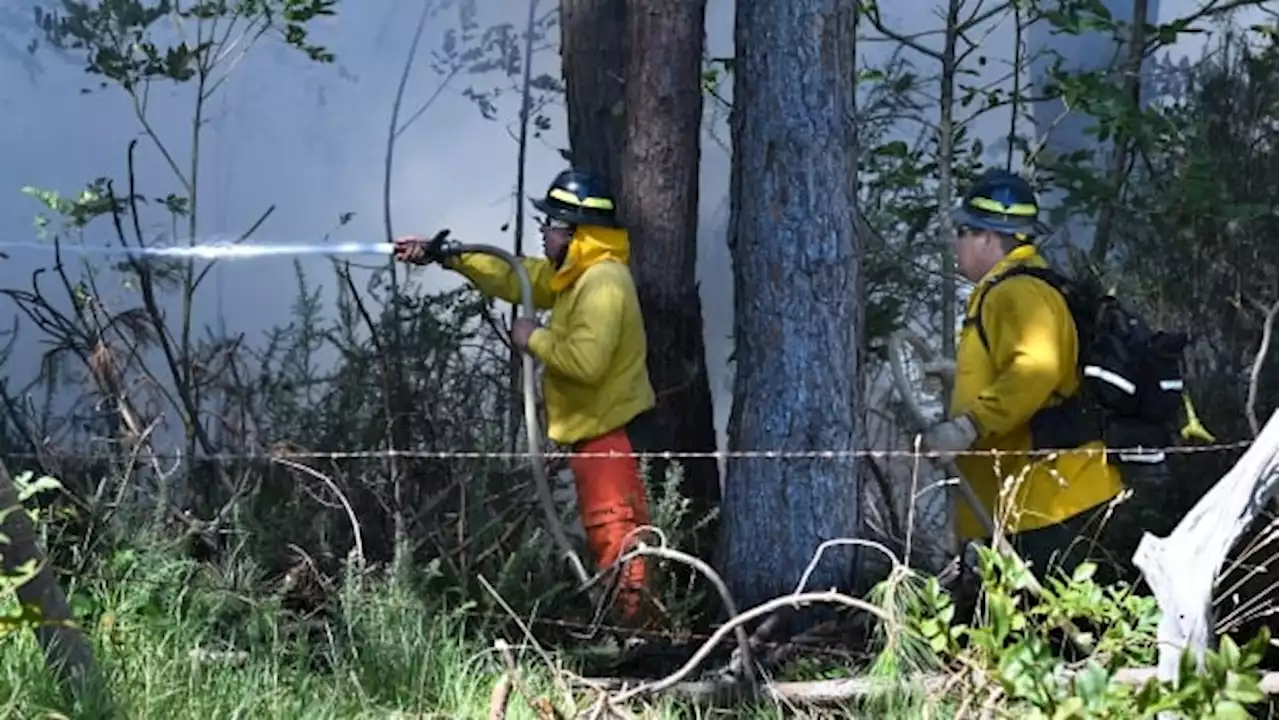 Driven by strong winds, Hawaiian wildfires burn homes, Maui tourist town | CBC News