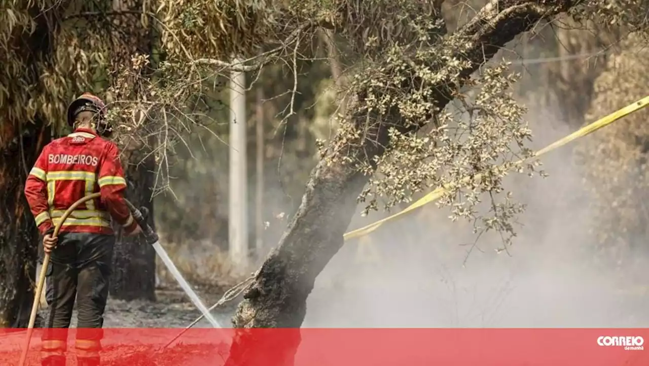 Mais de mil operacionais no combate às chamas em Odemira