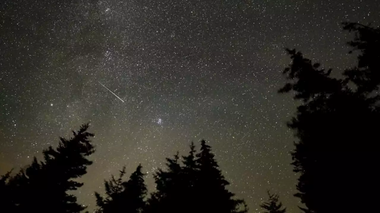 Perseid Meteor Shower to Peak This Weekend