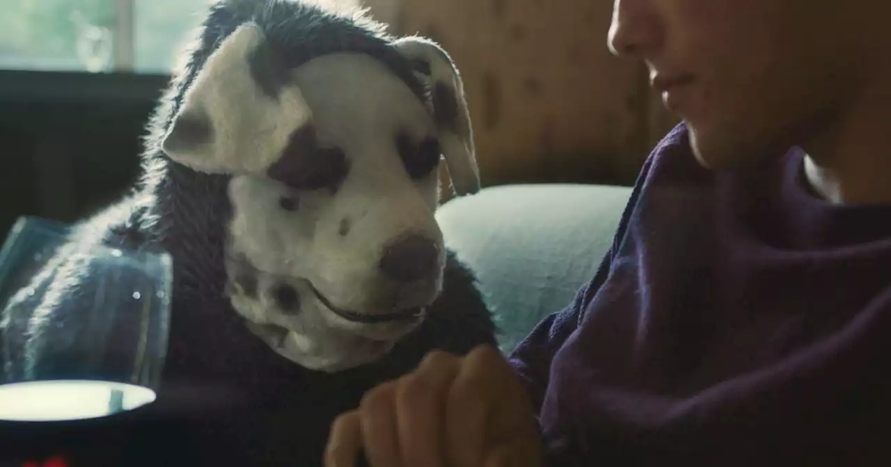 Good Boy Trailer Previews a Man in a Dog Costume