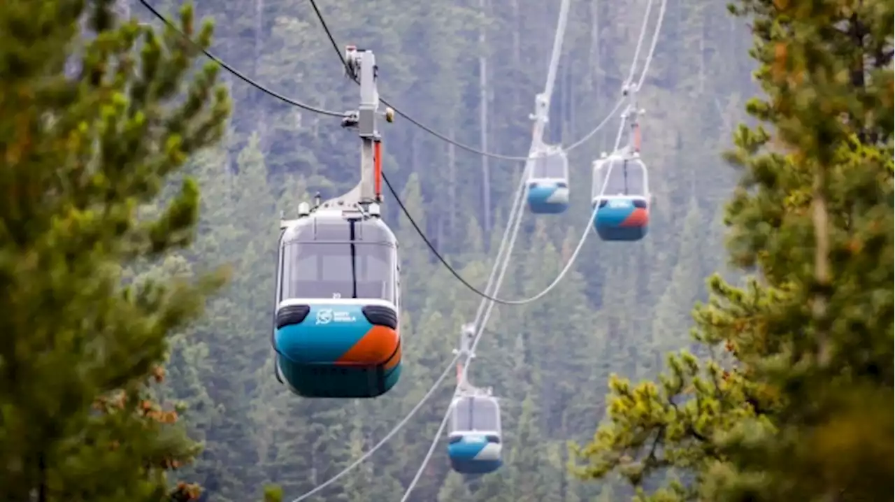 Visitors helped off Sulphur Mountain after power outage shuts down Banff Gondola