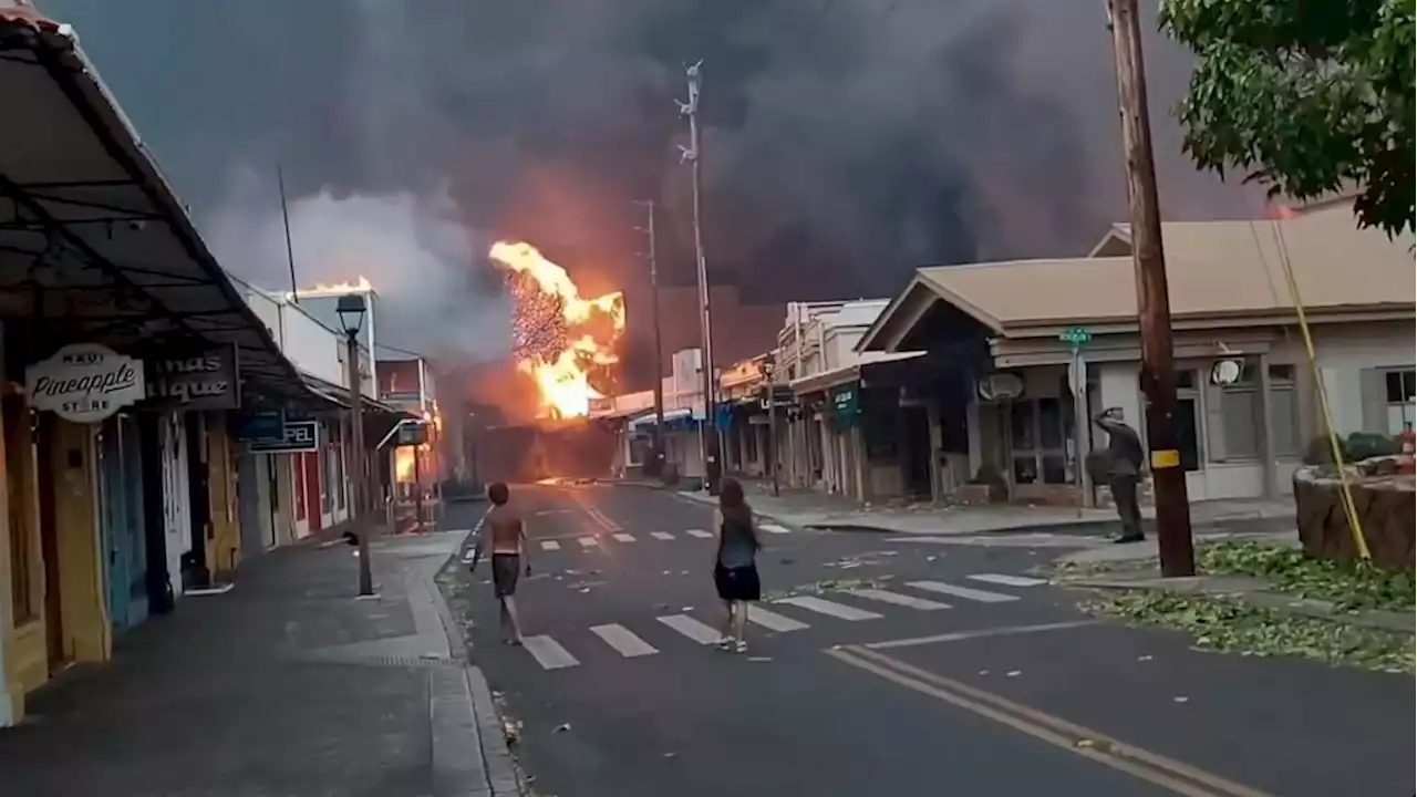 People in Hawaii flee into ocean to escape wildfire destroying historic Maui tourist town