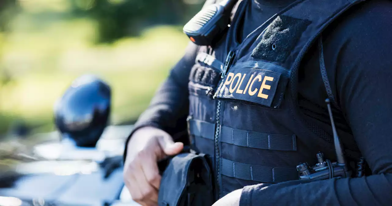 Law professors propose using police officers to seize guns of 'dangerous' individuals