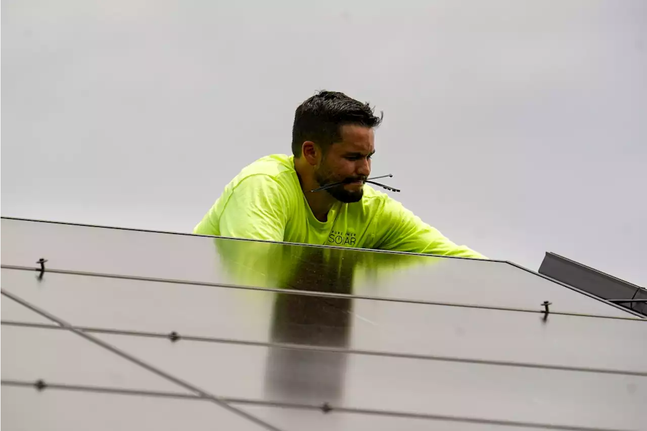 Pepco Violation Could Cost Community Solar Owners Thousands