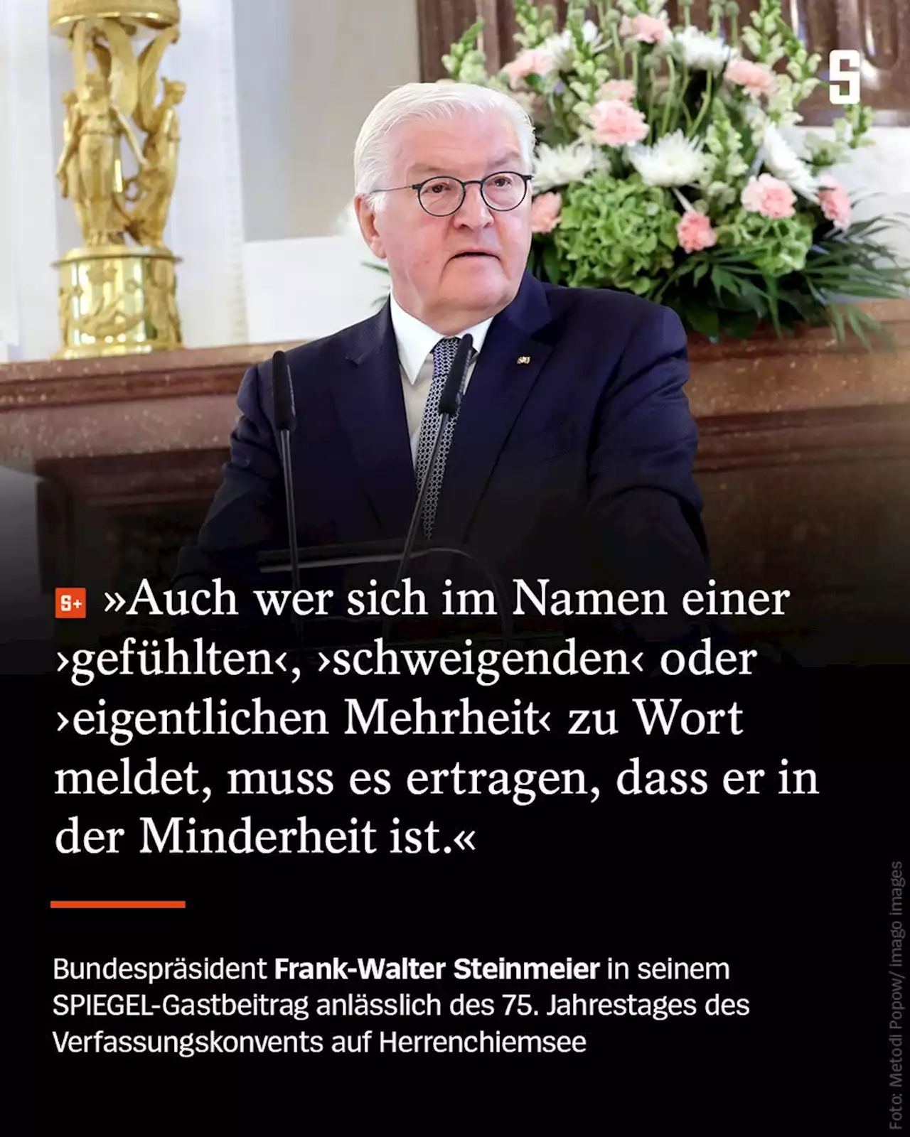 Frank-Walter Steinmeier zum Grundgesetz: Eine Demokratie muss wehrhaft sein