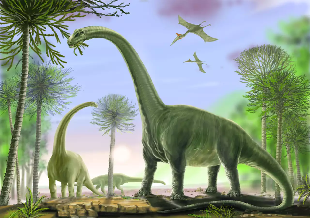 How the Titanosaur Lived: The Biggest Dinosaur to Ever Walk on Earth