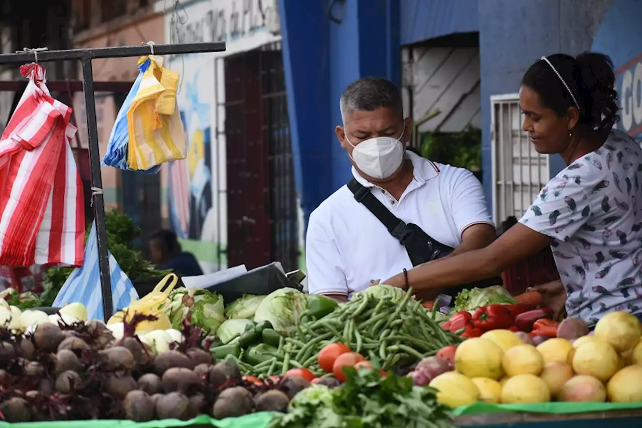 Inflación sigue bajando en el país: indicador anual fue de 11,78 % en julio