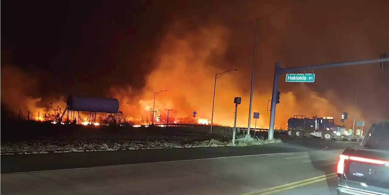 Evacuan población en Hawái por incendios forestales