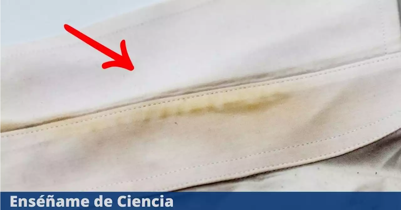 Elimina lo percudido de la ropa blanca en tan solo minutos