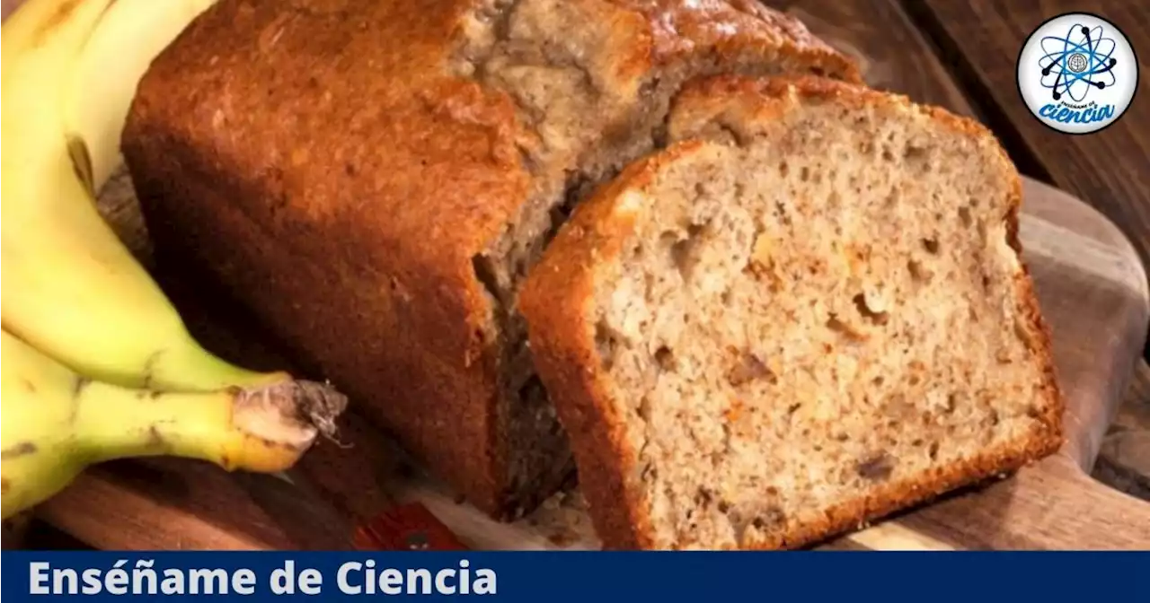 Prepara con esta receta un delicioso y esponjoso pan de plátano