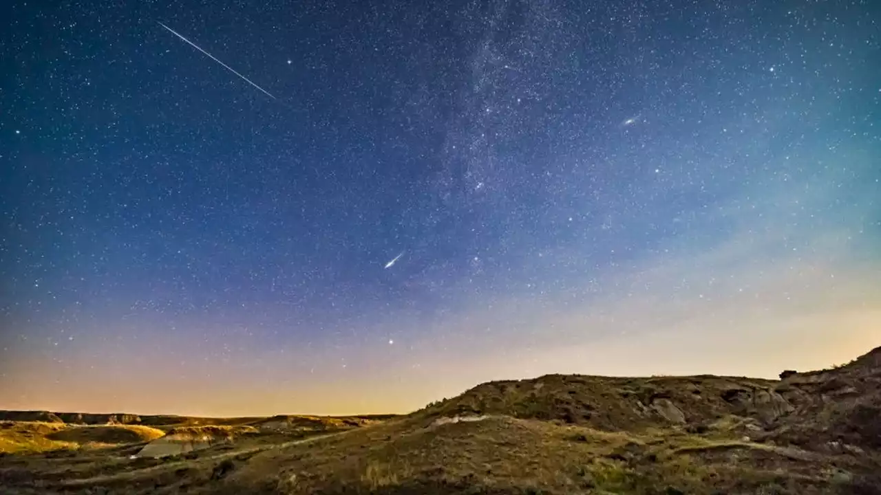 Perseid Meteor Shower 2023: Where, When to Watch the Meteor Shower This Weekend