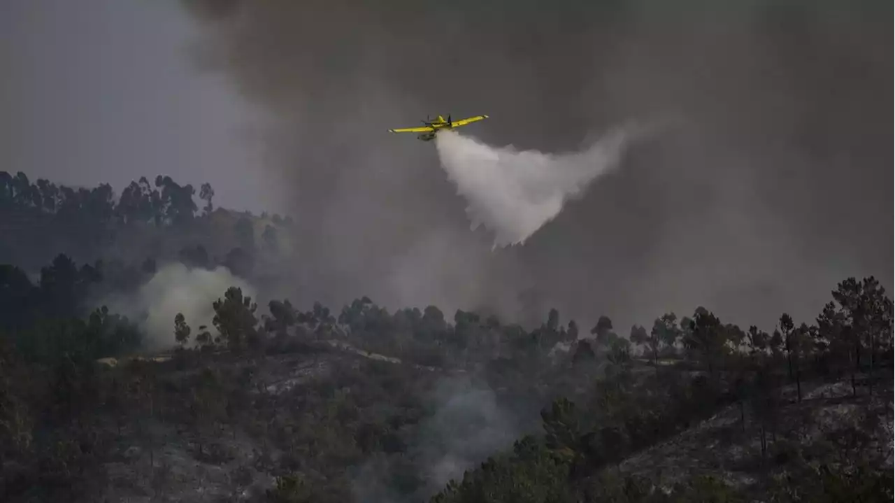 Canicule : des records de chaleur attendus en Espagne, le Portugal espère une accalmie face aux incendies