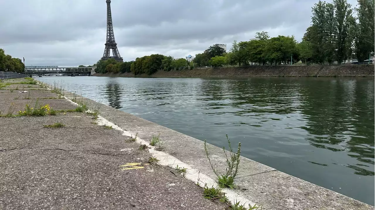 Paris 2024 : les orages, derniers obstacles à la baignabilité de la Seine