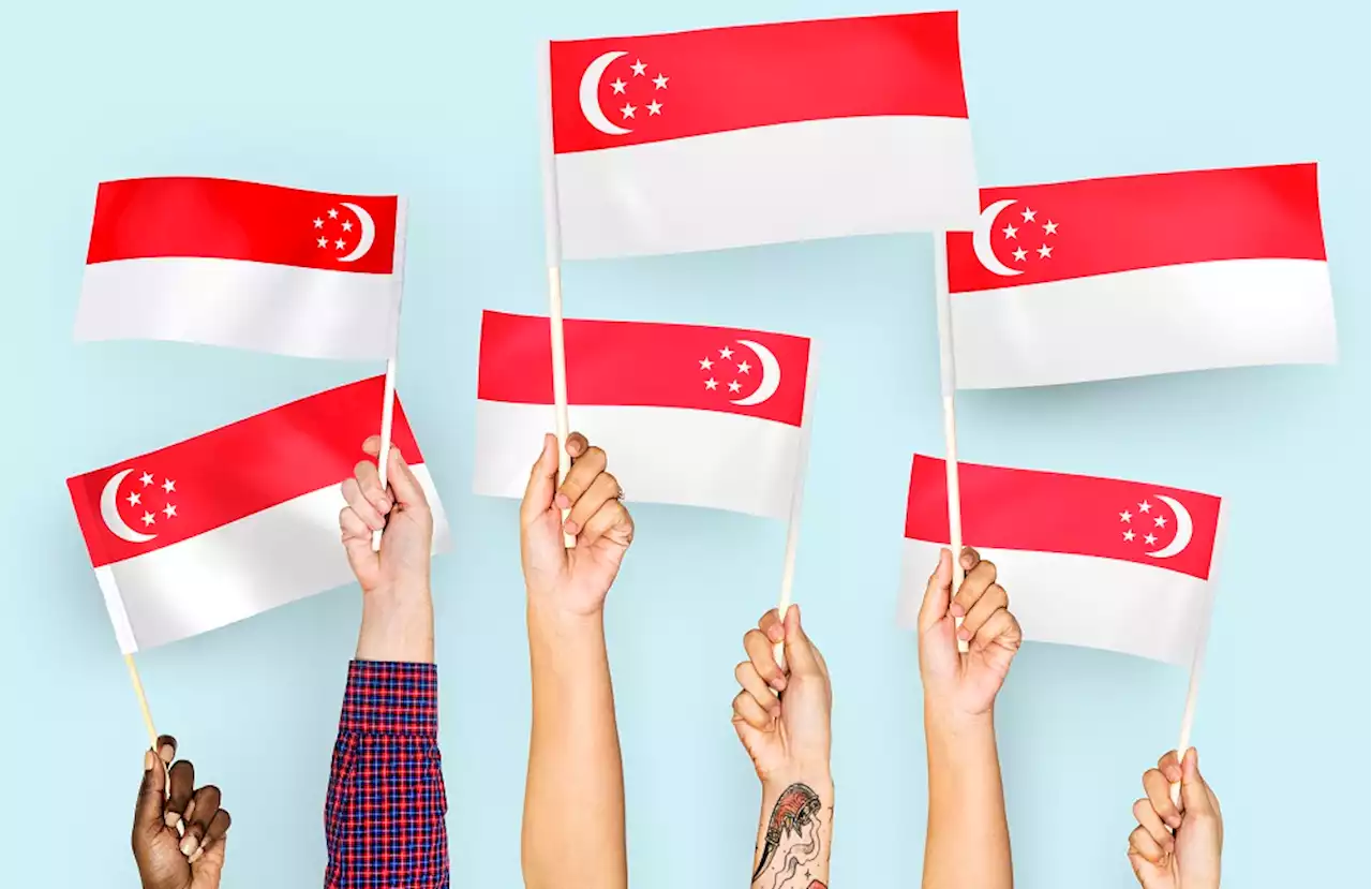 'We are patriotic only one day per year, which is on 9th August' — Singaporeans weigh in on patriotism - Singapore News