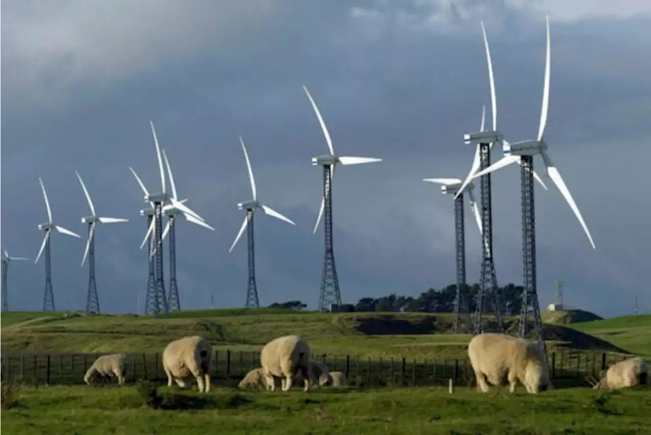 New Zealand partners with BlackRock in aim to hit 100% renewable electricity