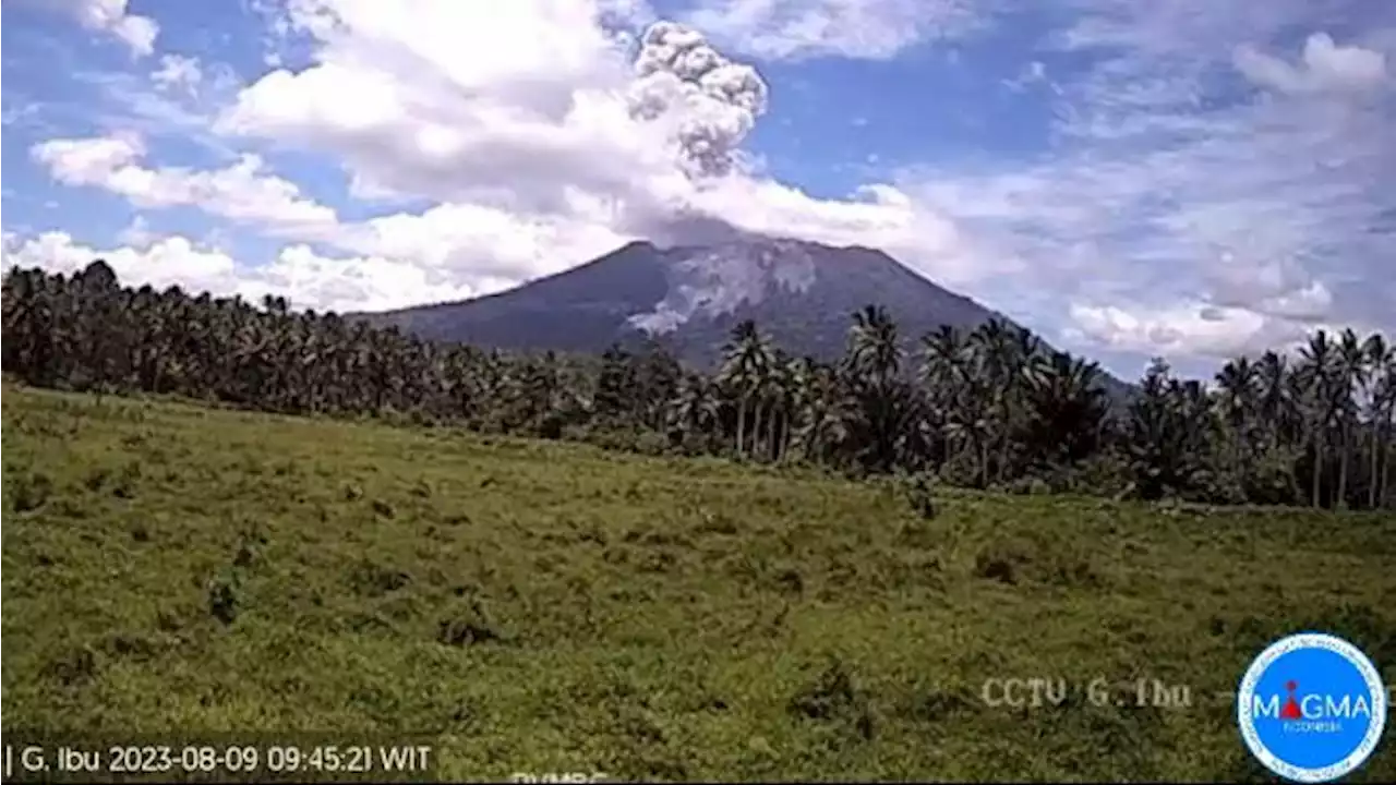 Erupsi Gunung Ibu, Tinggi Kolom Letusan 2.325 dari Permukaan Laut