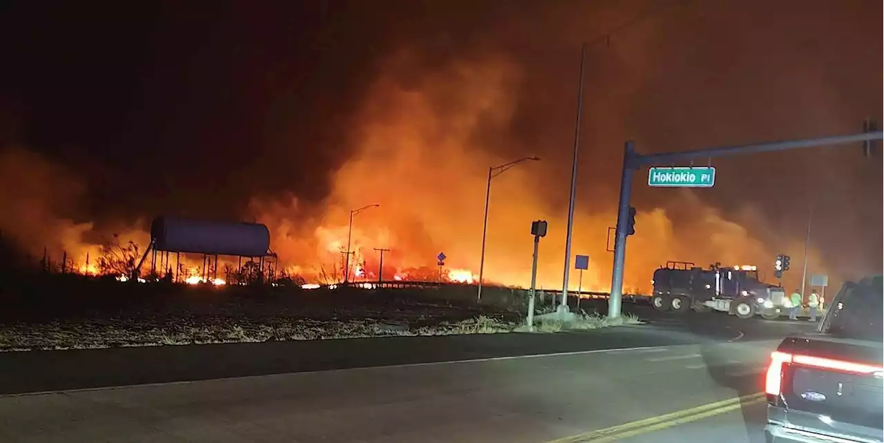 Desesperación en Hawai por los incendios forestales en una isla paradisíaca: la gente se lanza al océano para huir