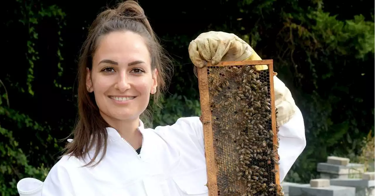 Vaucluse : Gaëlle Maheo produit des élixirs de miel tout en respectant la nature