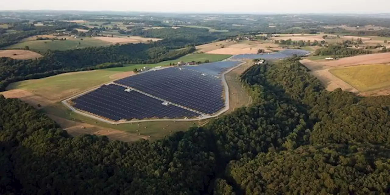 Incendies forestiers : le photovoltaïque sous le feu des critiques dans le Sud-Ouest